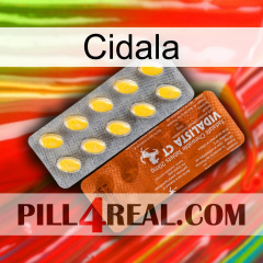 Cidala 42